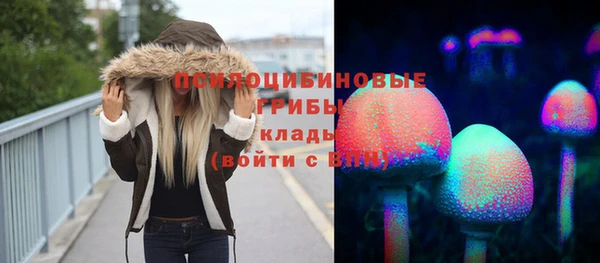индика Богородицк