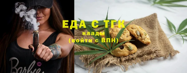 индика Богородицк