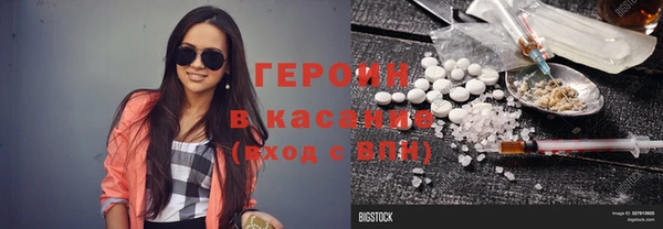 индика Богородицк