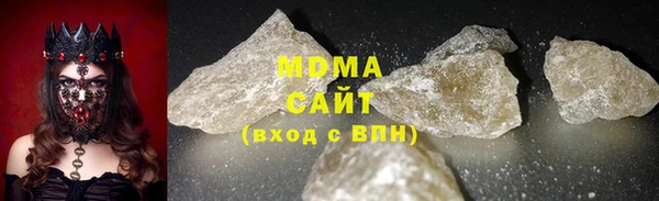 индика Богородицк