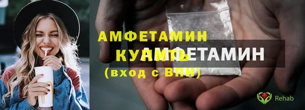 индика Богородицк