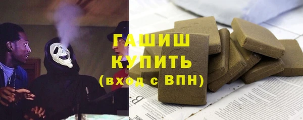 индика Богородицк