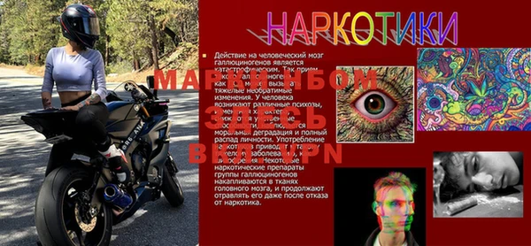 индика Богородицк