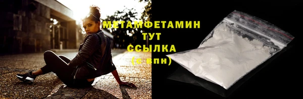 индика Богородицк