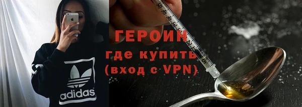 индика Богородицк