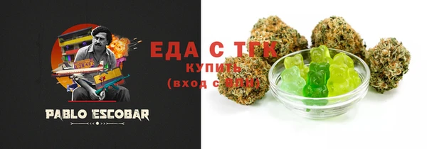 индика Богородицк