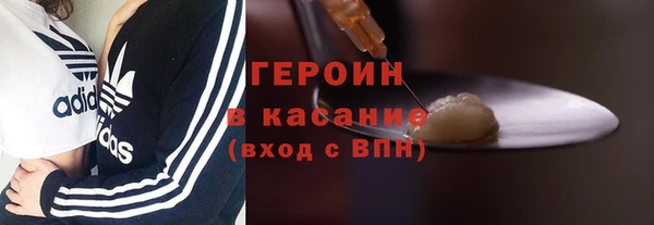 индика Богородицк