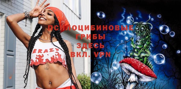 индика Богородицк