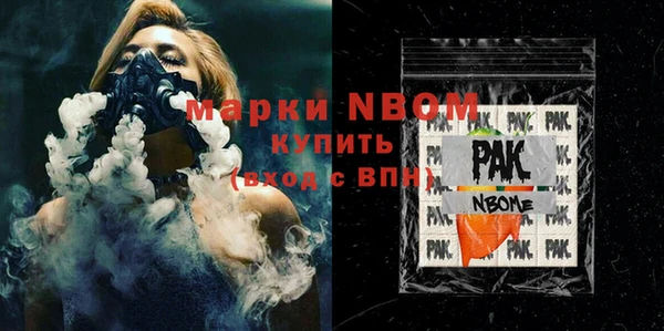 индика Богородицк