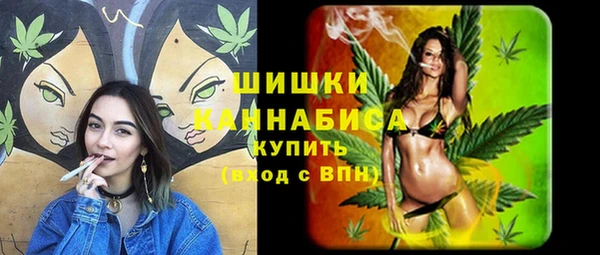 индика Богородицк