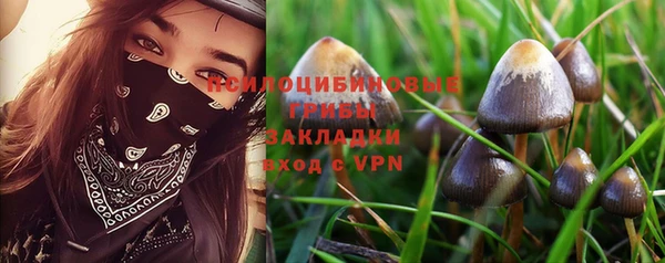 a pvp Богородск