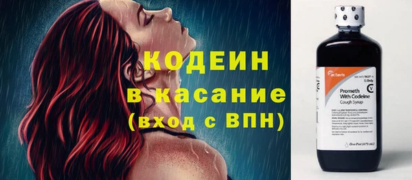 индика Богородицк
