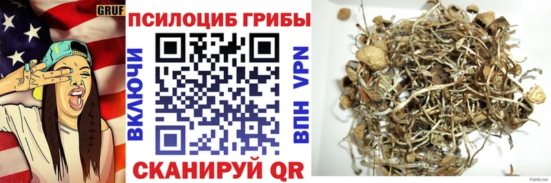 Псилоцибиновые грибы GOLDEN TEACHER  наркота  Шадринск 